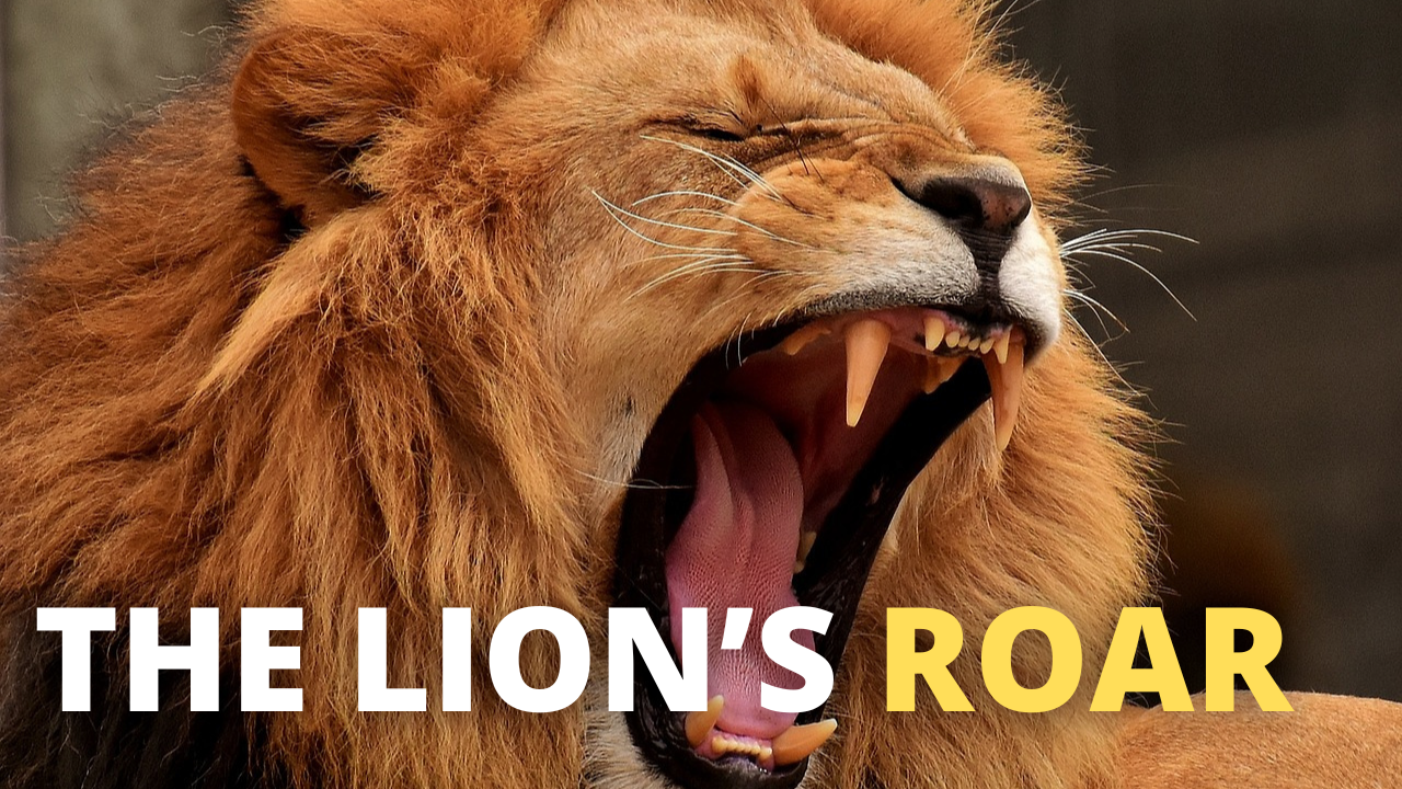 The Lion s Roar Ateret Cohanim The Lion s Roar Ateret Cohanim