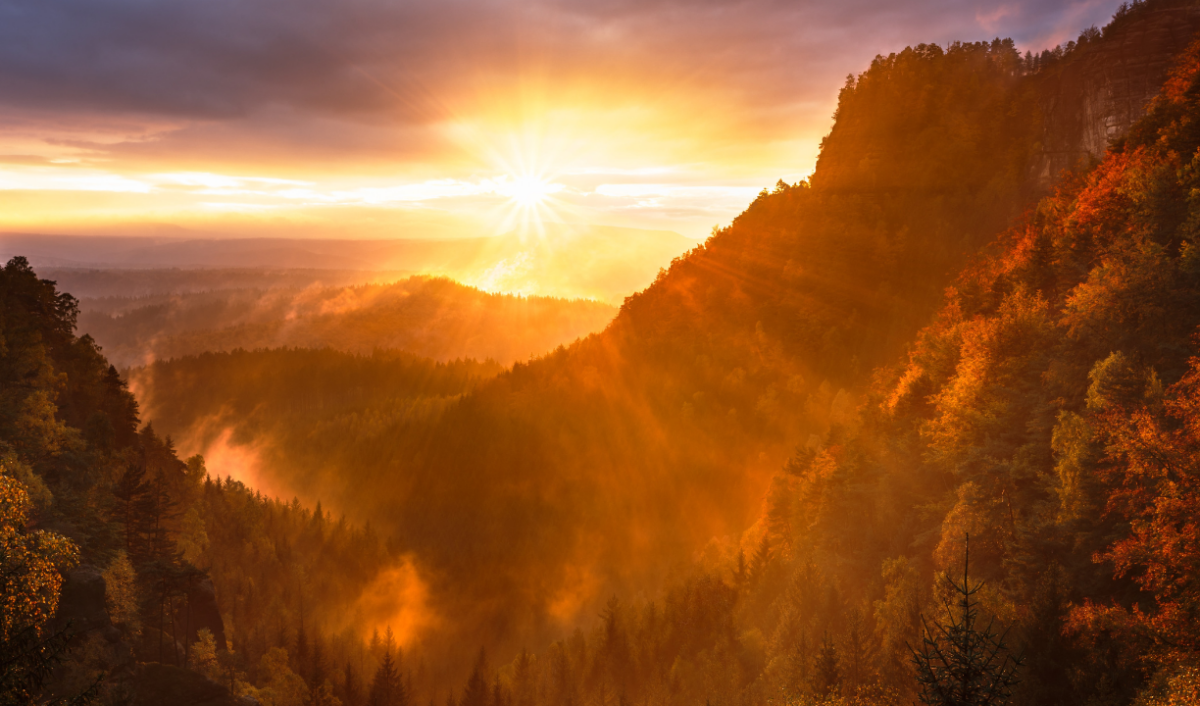 Featured Image